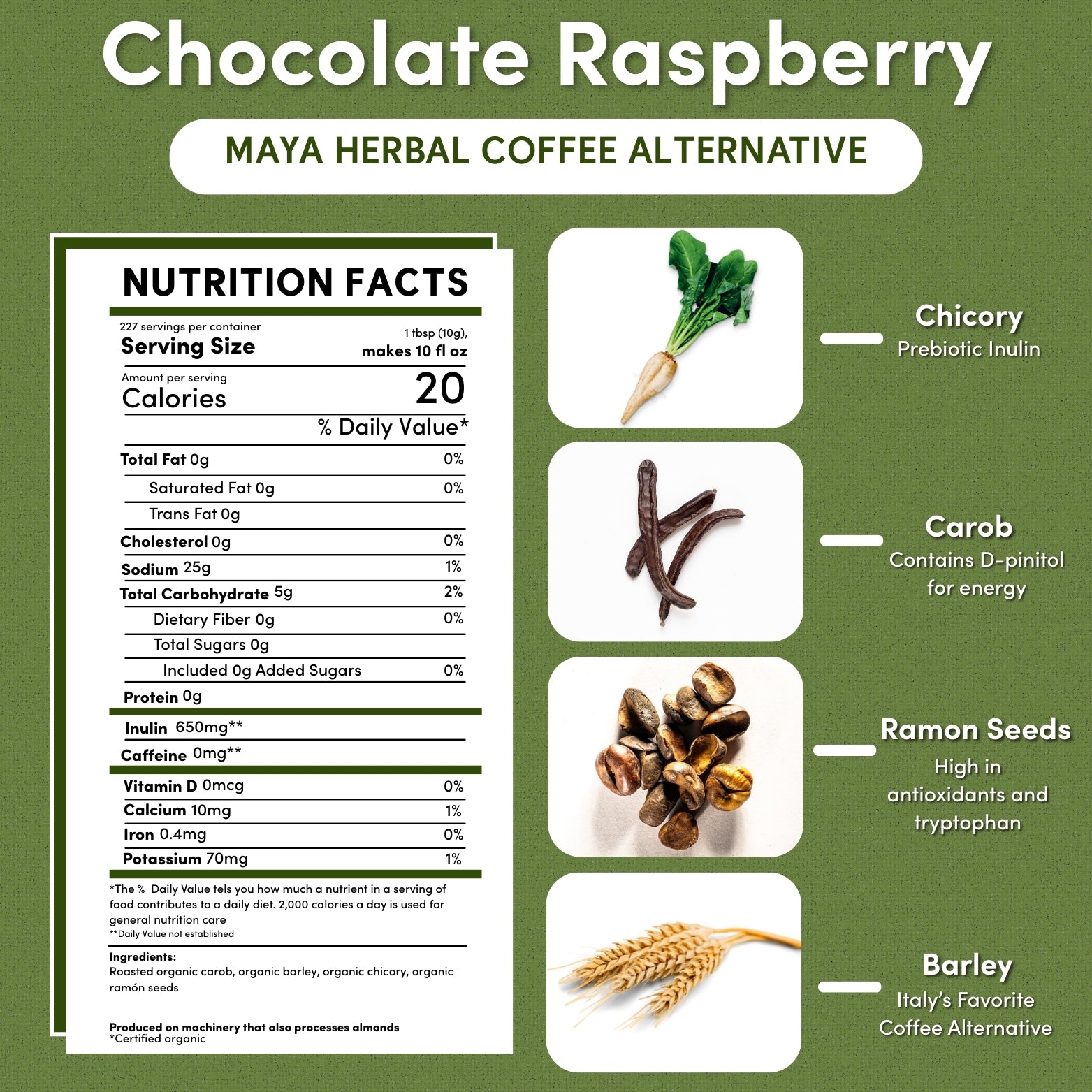 A single green leaf in a clear glass of water on white background.