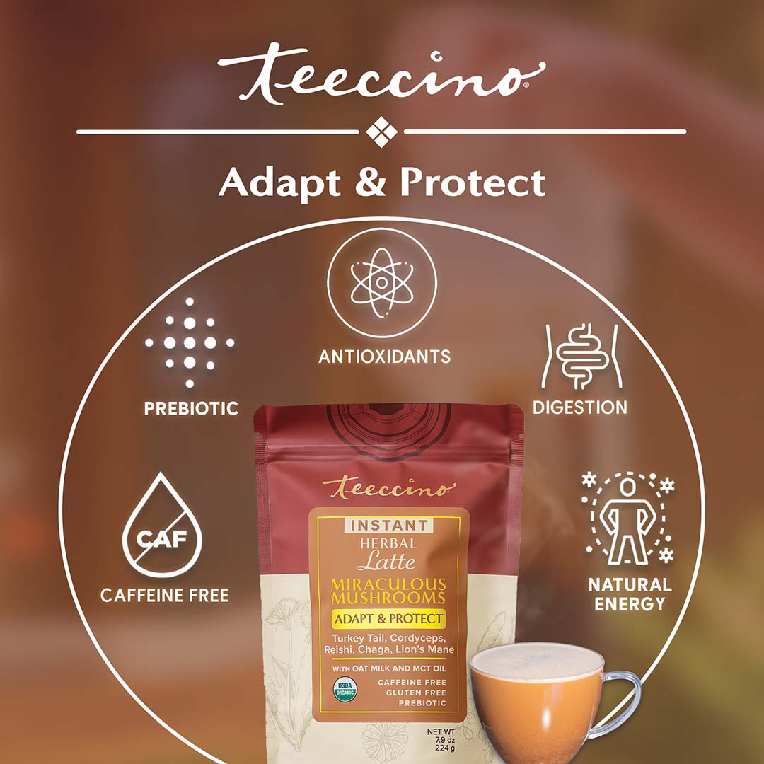 A single green leaf in a clear glass of water on white background.