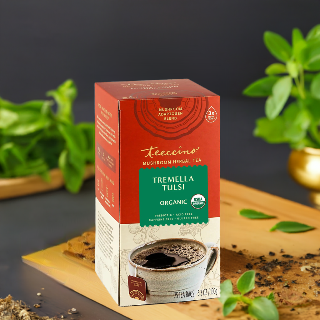 A single Monstera leaf in a clear glass vase against a white background.