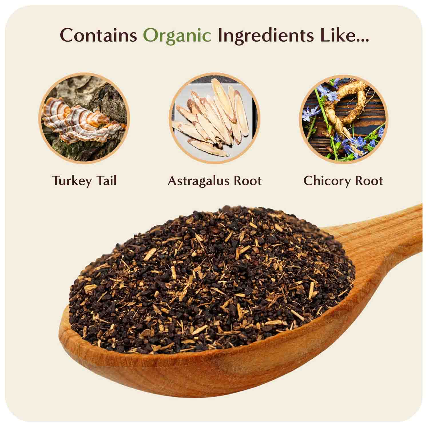 A single Monstera leaf in a clear glass vase against a white background.