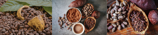 The Resurgence of Cacao