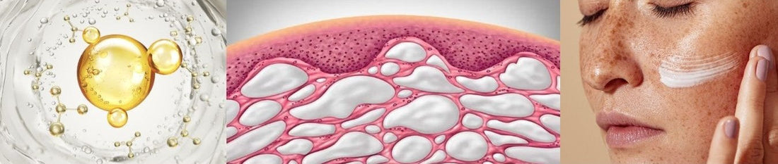 Hyaluronic Acid, Acupuncture, and The Interstitium