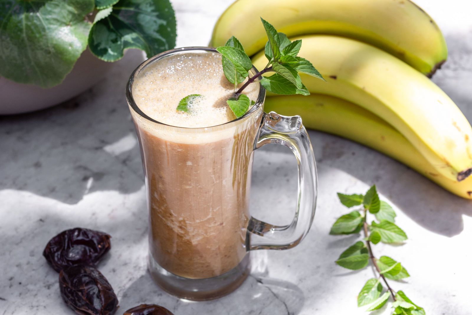 Teeccino Mocha Mint Milkshake