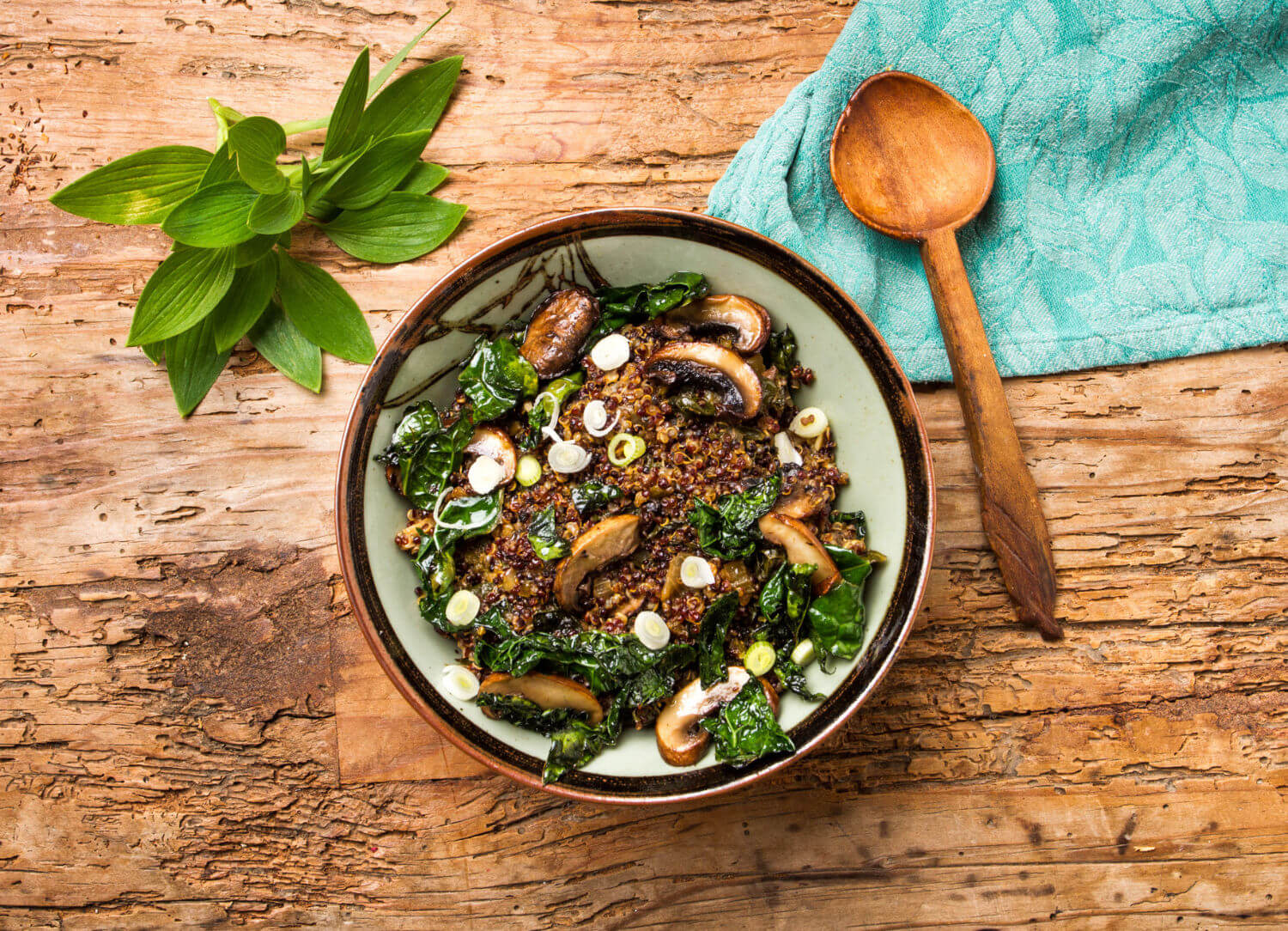 Teeccino Quinoa Miso Detox Bowl