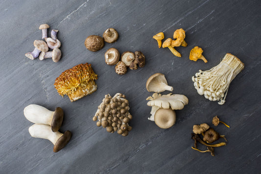 Mushrooms: Culinary, Wellness and Psychedelic