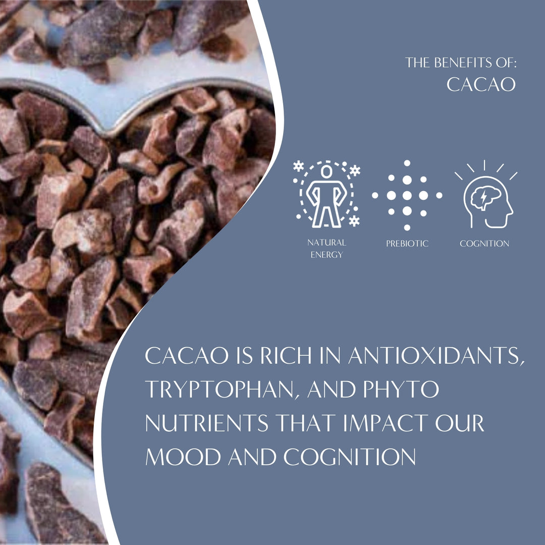 Dark Chocolate Prebiotic SuperBoost Herbal Coffee - Image 4