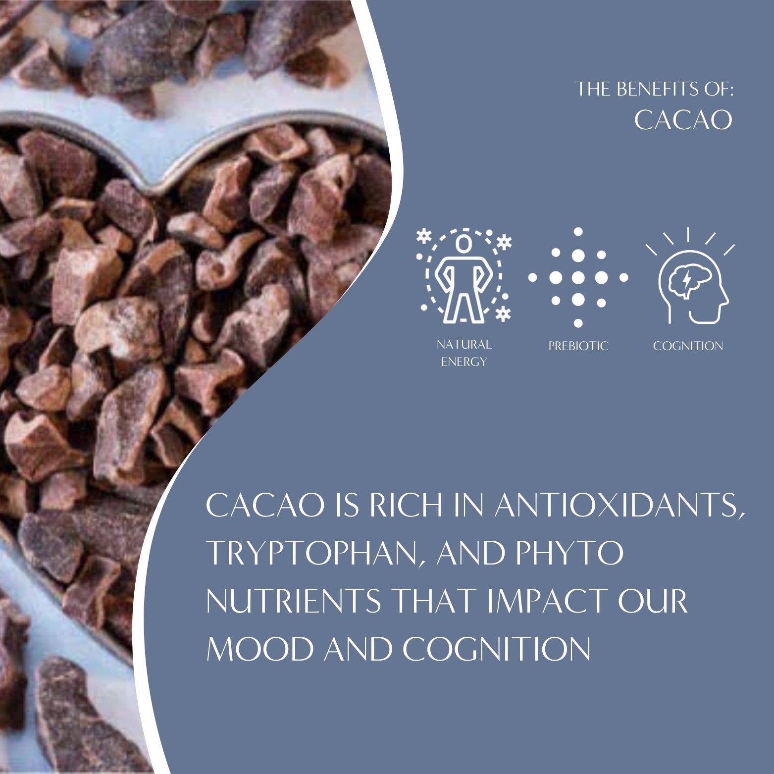 Dark Chocolate Prebiotic SuperBoost Herbal Tea – Teeccino