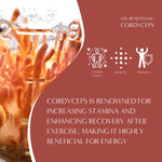 Cordyceps mushroom close-up with infographic highlighting benefits such as natural energy, prebiotic support, and immunity.