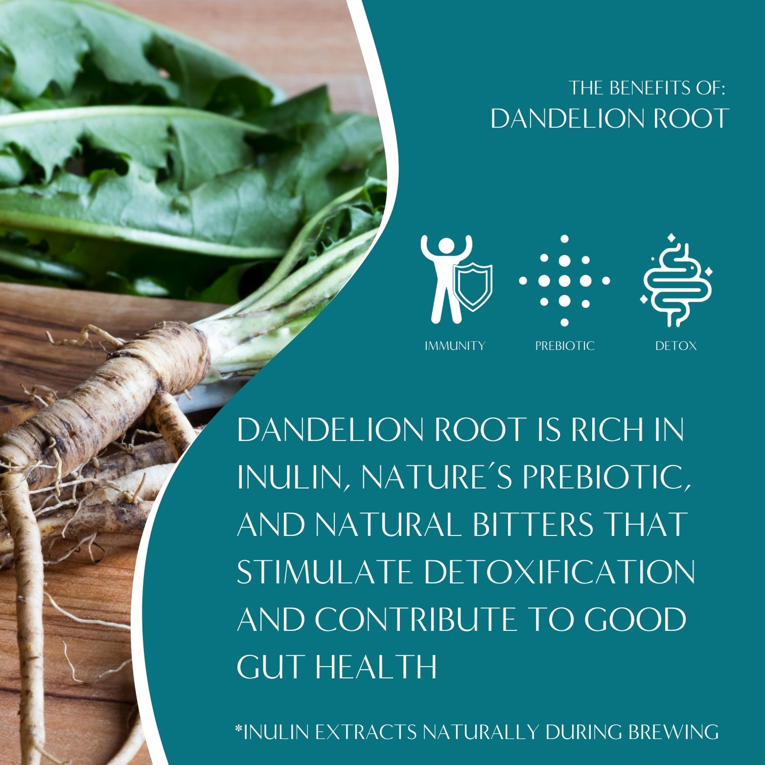 Dandelion Turmeric Herbal Coffee