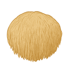 Lion's Mane