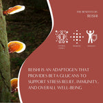 Reishi Eleuthero French Roast Mushroom Herbal Tea