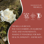 Tremella Tulsi Cardamom Mushroom Herbal Tea