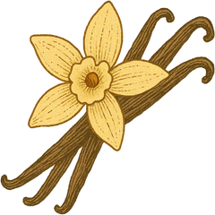 Vanilla Extract