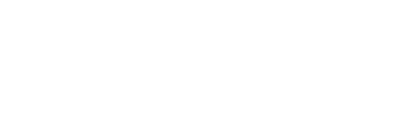 VICE