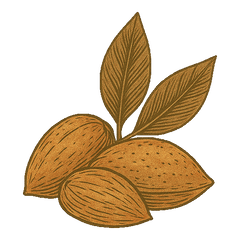 Almonds
