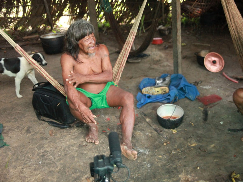 Defend Indigenous land rights