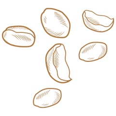 Ramón Seed